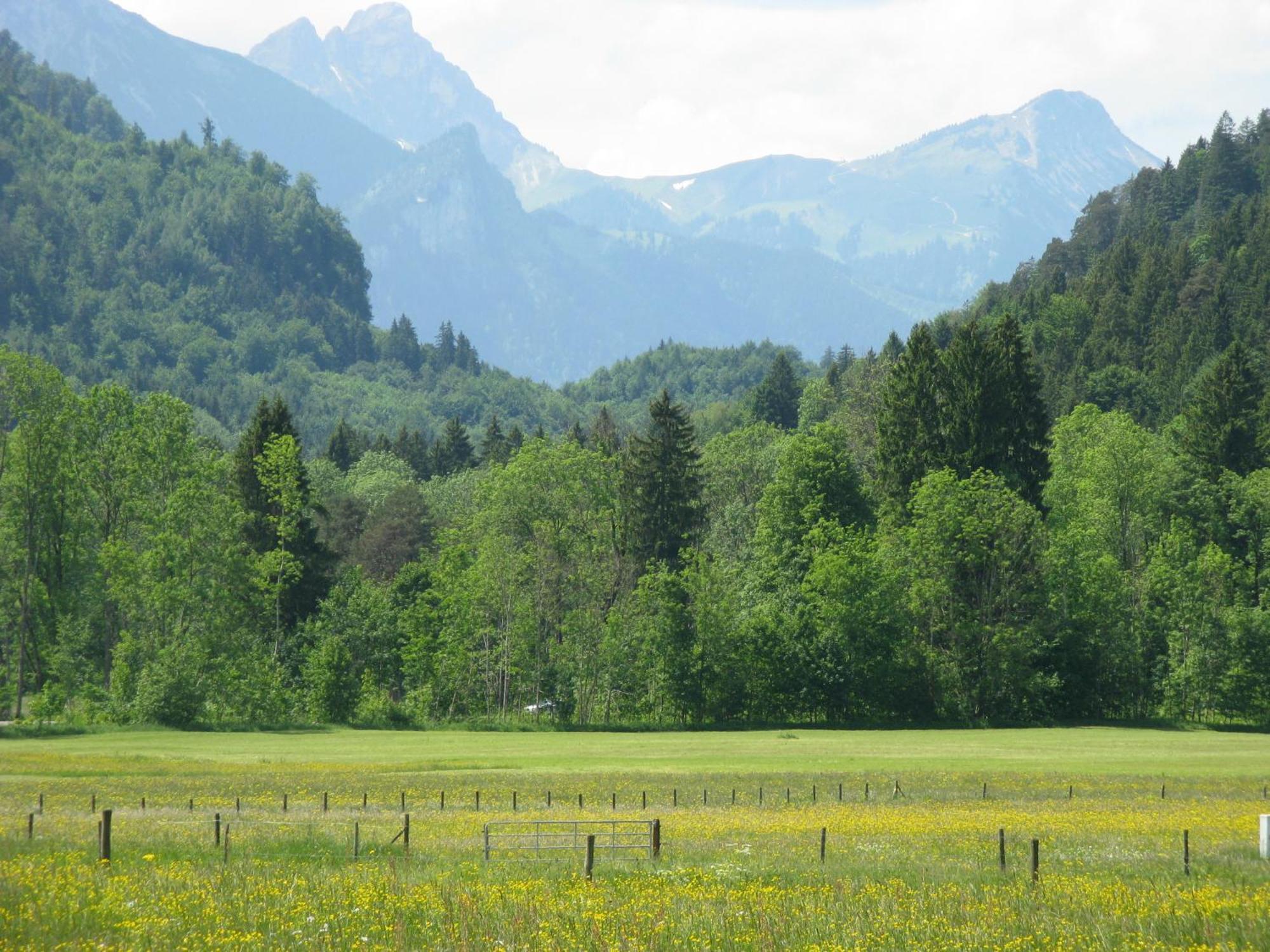 Alpenhotel Allgaeu Hohenschwangau Zewnętrze zdjęcie
