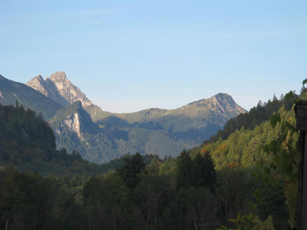 Alpenhotel Allgaeu Hohenschwangau Zewnętrze zdjęcie